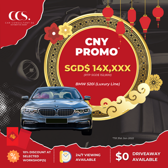 Chinese New Year PROMO.png