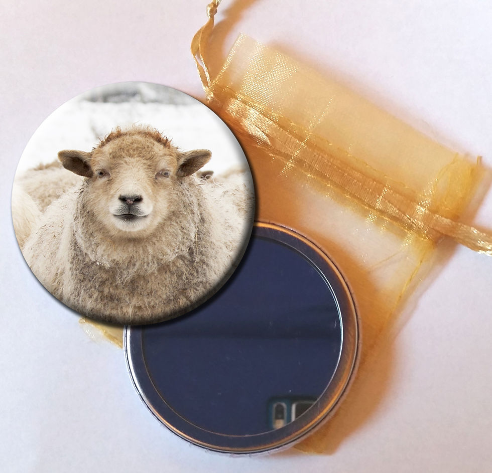 Thumbnail: Various Christmas pocket mirror, badge and magnet gifts