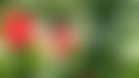 Retraite: Tijd voor mij.