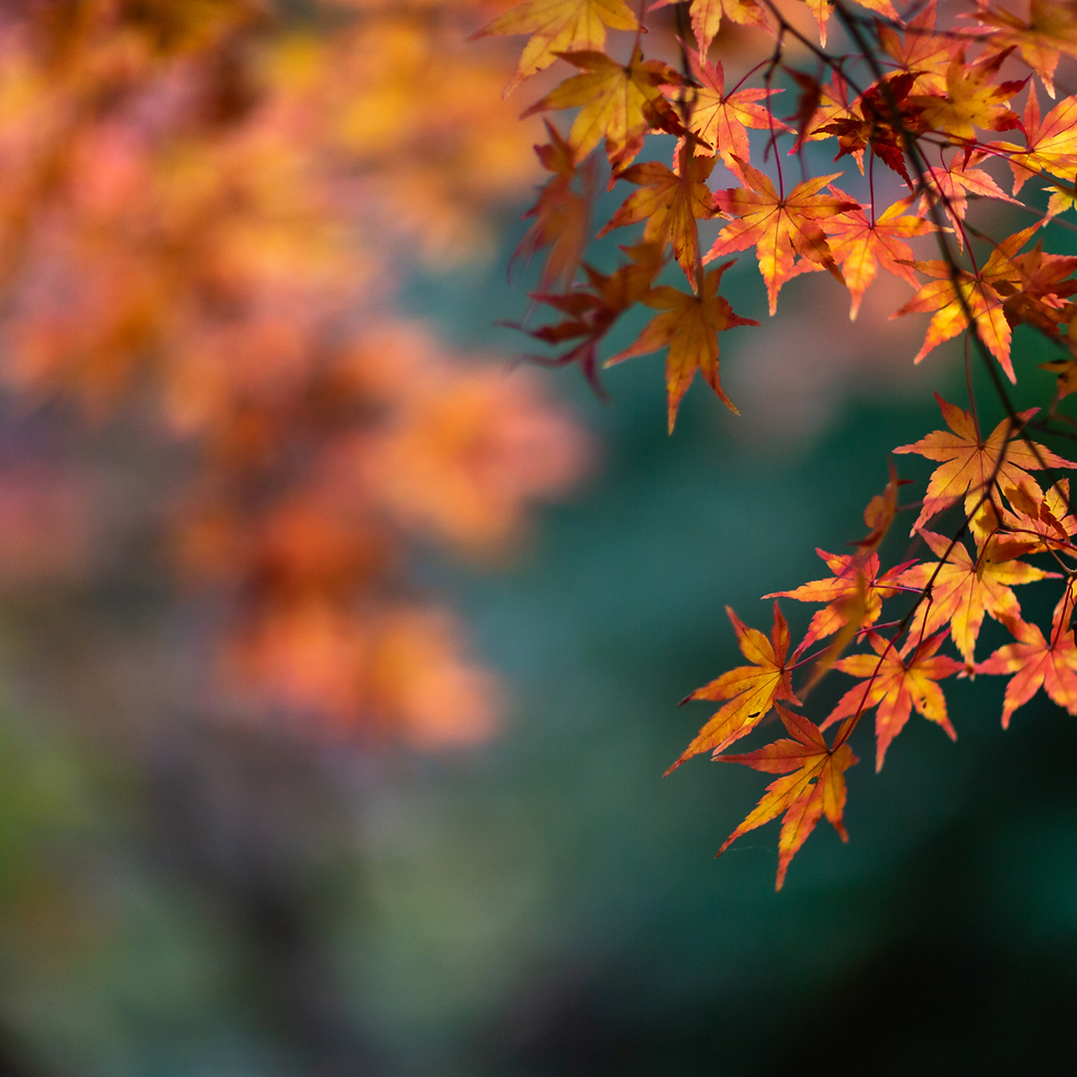 De kracht van ontspanning