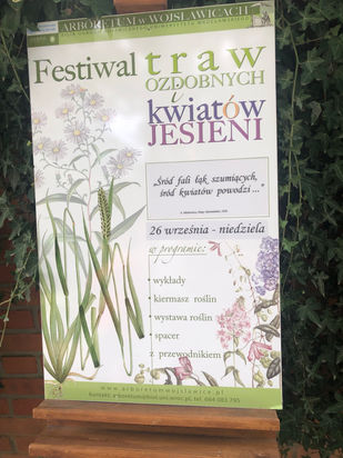 Festiwal Traw ozdobnych i kwiatów jesieni w Arboretum Wojsławice