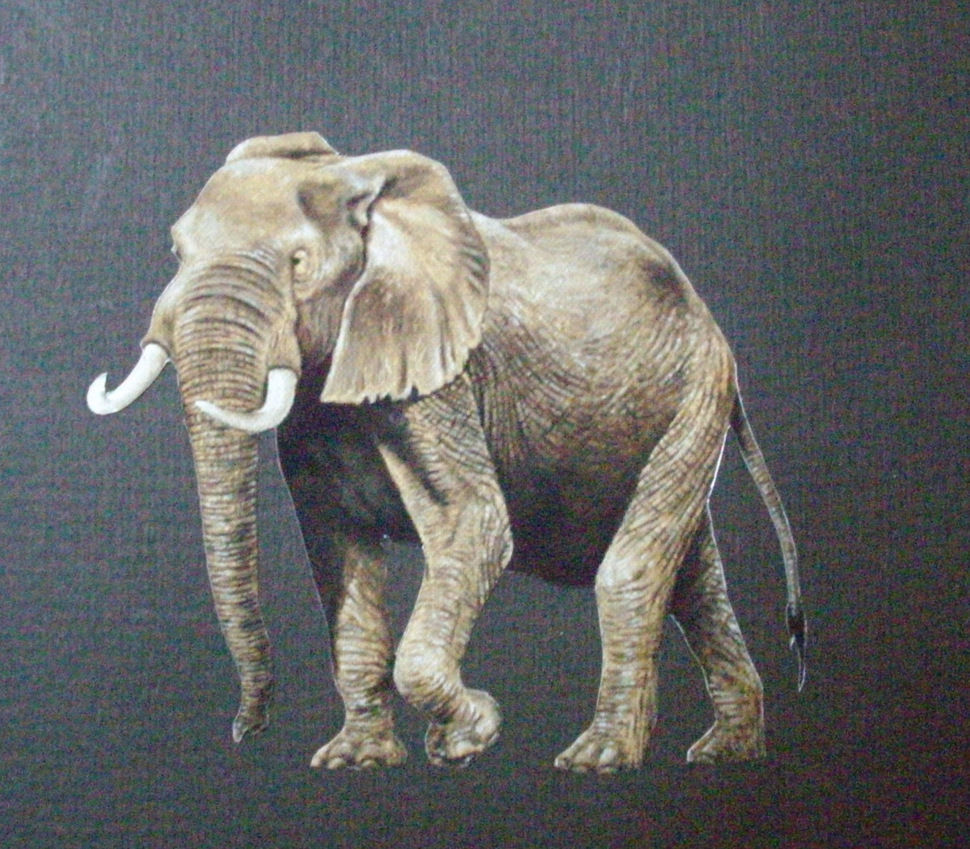 ELEPHANT 1992