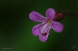 S030019.jpg