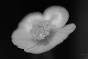 BW102007.jpg