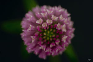 S101_002.jpg