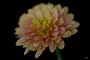 ST01020.jpg