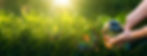 Low-carbon, clean energy