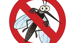Mosquito-control-metro.jpg