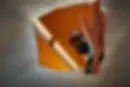 Eleventhfloor intro.webp