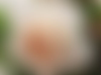 ピアノが楽しく続く「聴く力」を育むレッスン｜大津市　越智ピアノ教室