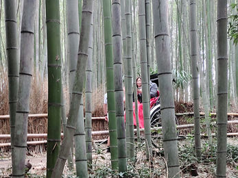 Rickshaw passing us in the bamboo forest