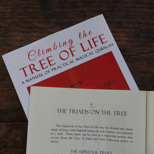 Climbing Through Life: A Collection Of Hilly Vignettes: Heffler, Michael J: 9781484015544