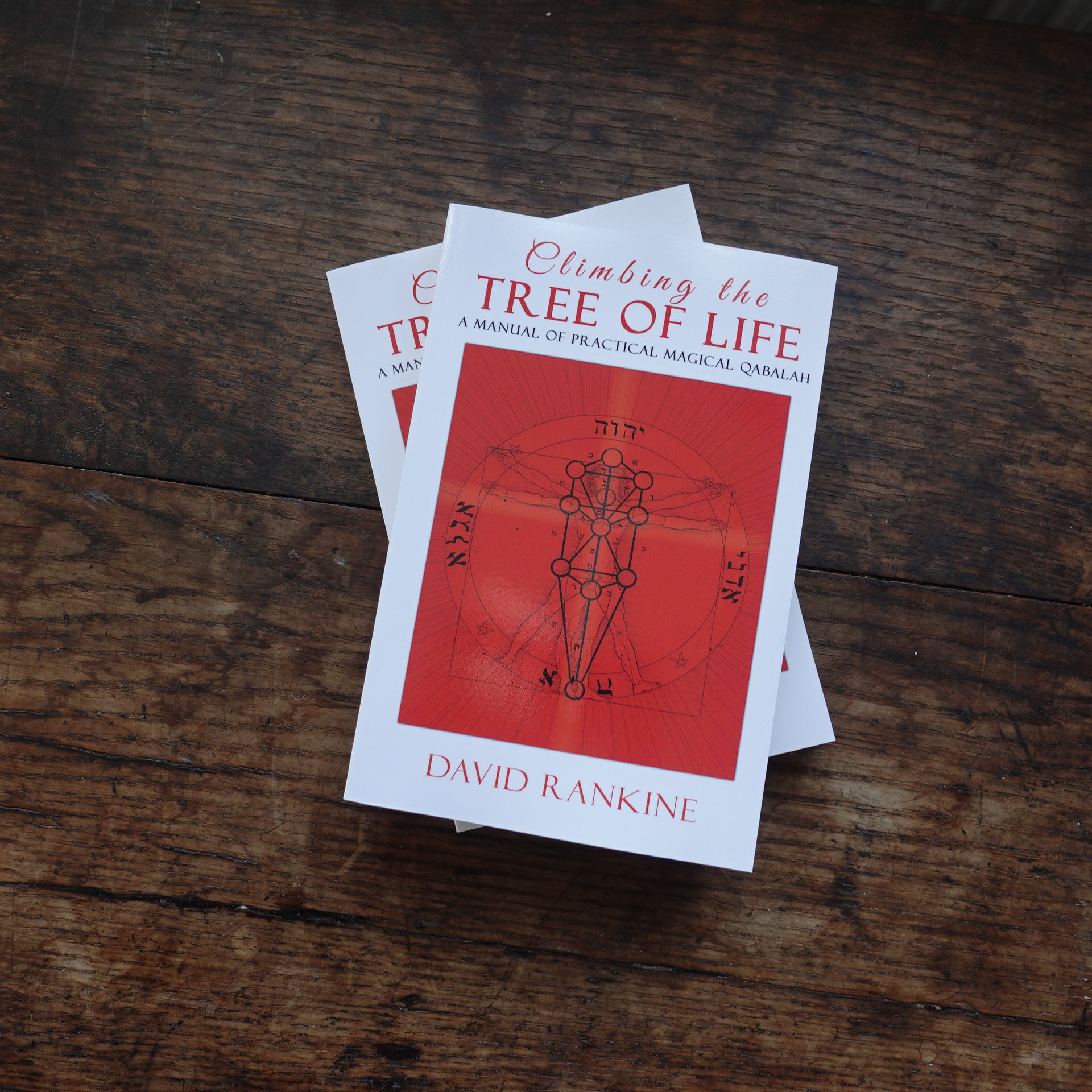 Climbing The Tree of Life by David Rankine