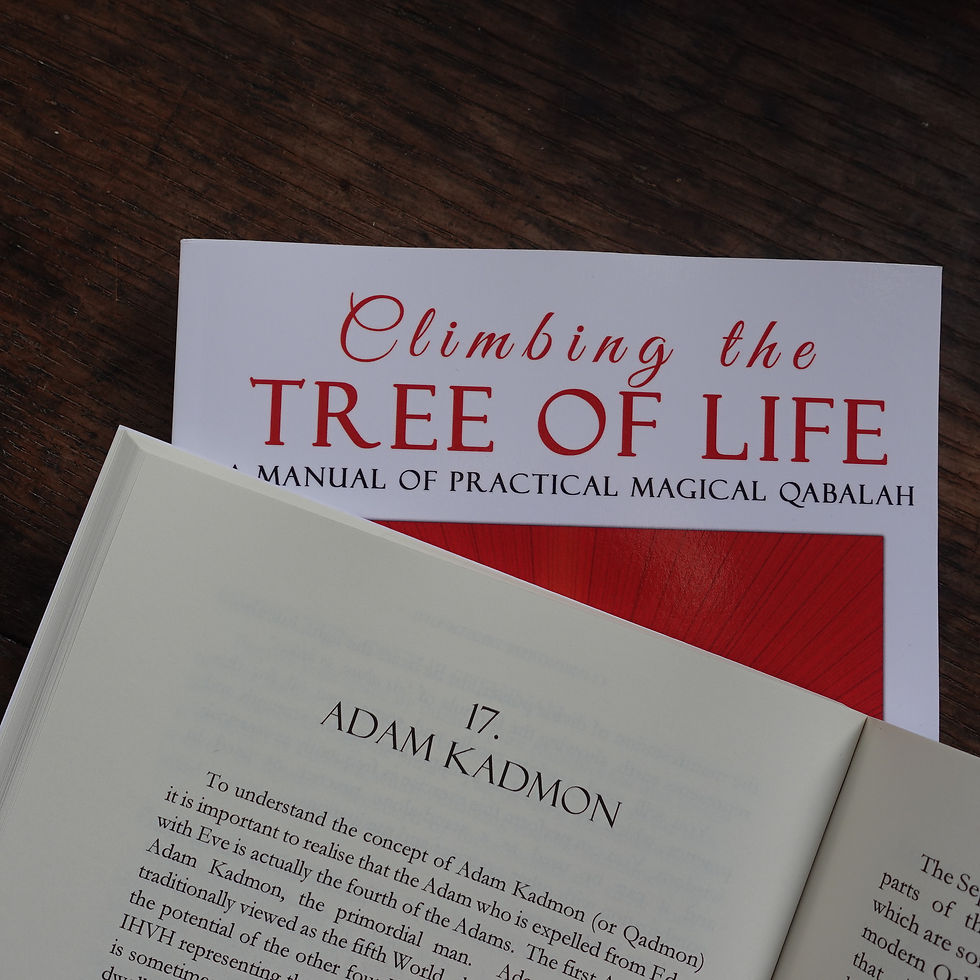 Thumbnail: Climbing The Tree of Life by David Rankine