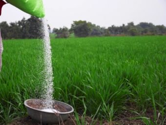 buy urea