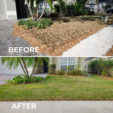 Before and after of leaf clean-up