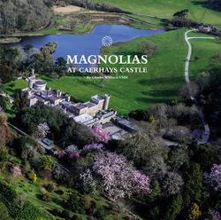 Magnolias at Caerhays Castle