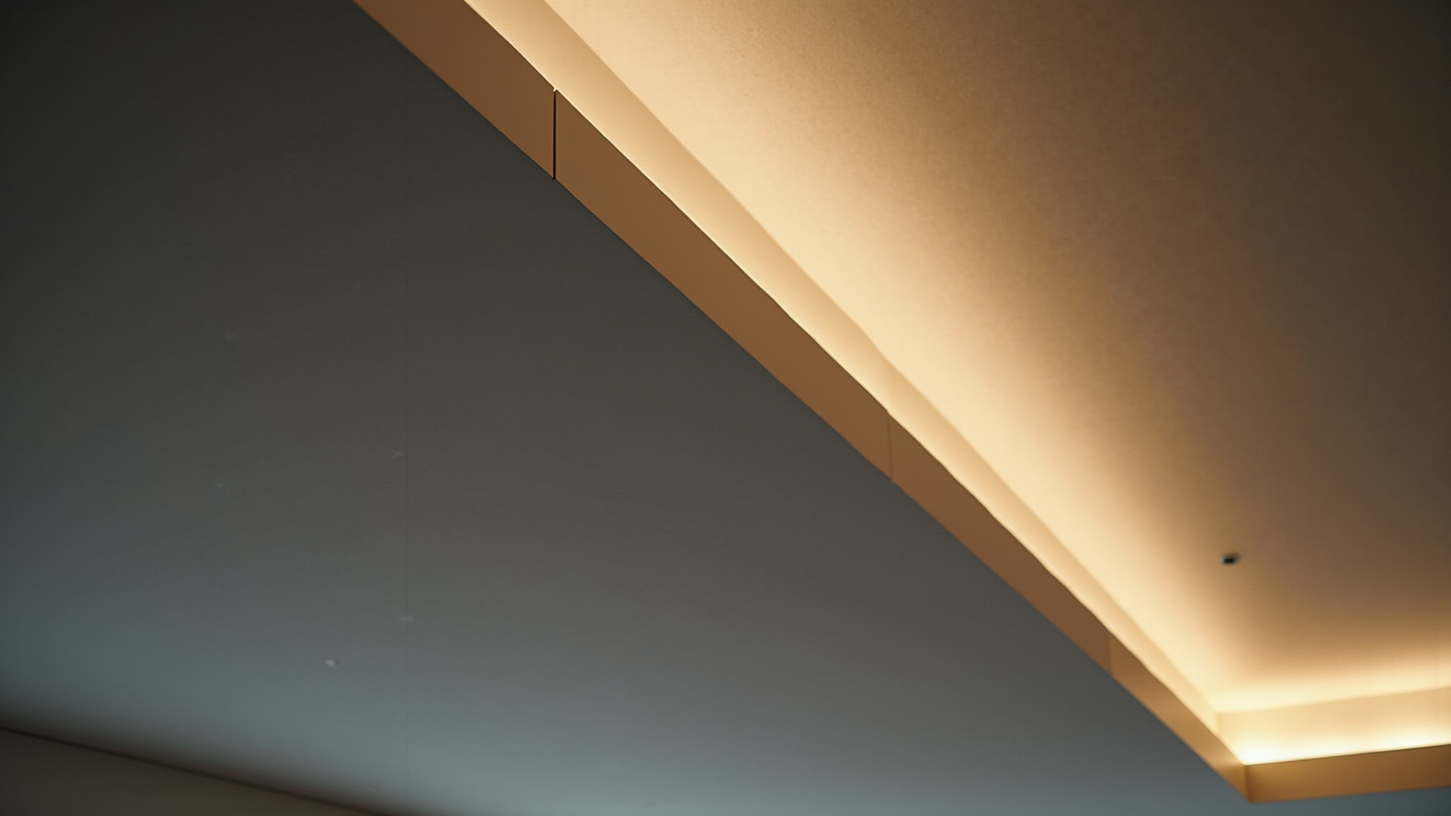 Cooker Hood