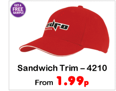 4210 Baseball Cap.gif