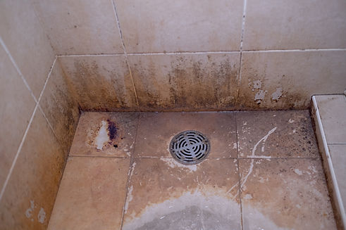 istockphoto-1089044058-640x640.jpeg