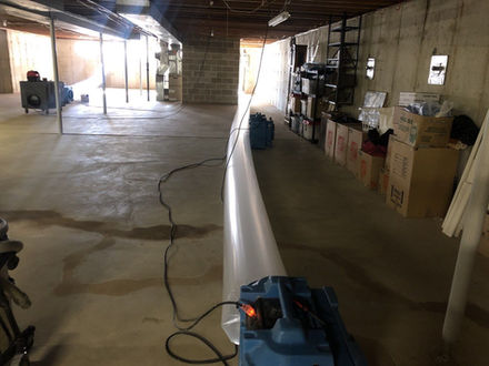 Mold removal in a commercial space in Naperville, IL