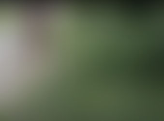 The Kress Trimmer That Just Won’t Stall