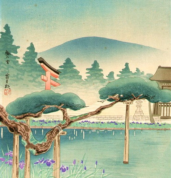 Iris at umi no miya river - Tokuriki