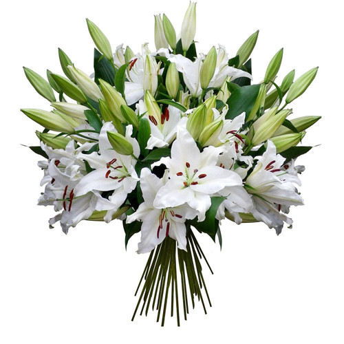 Bouquet De Lys Prix