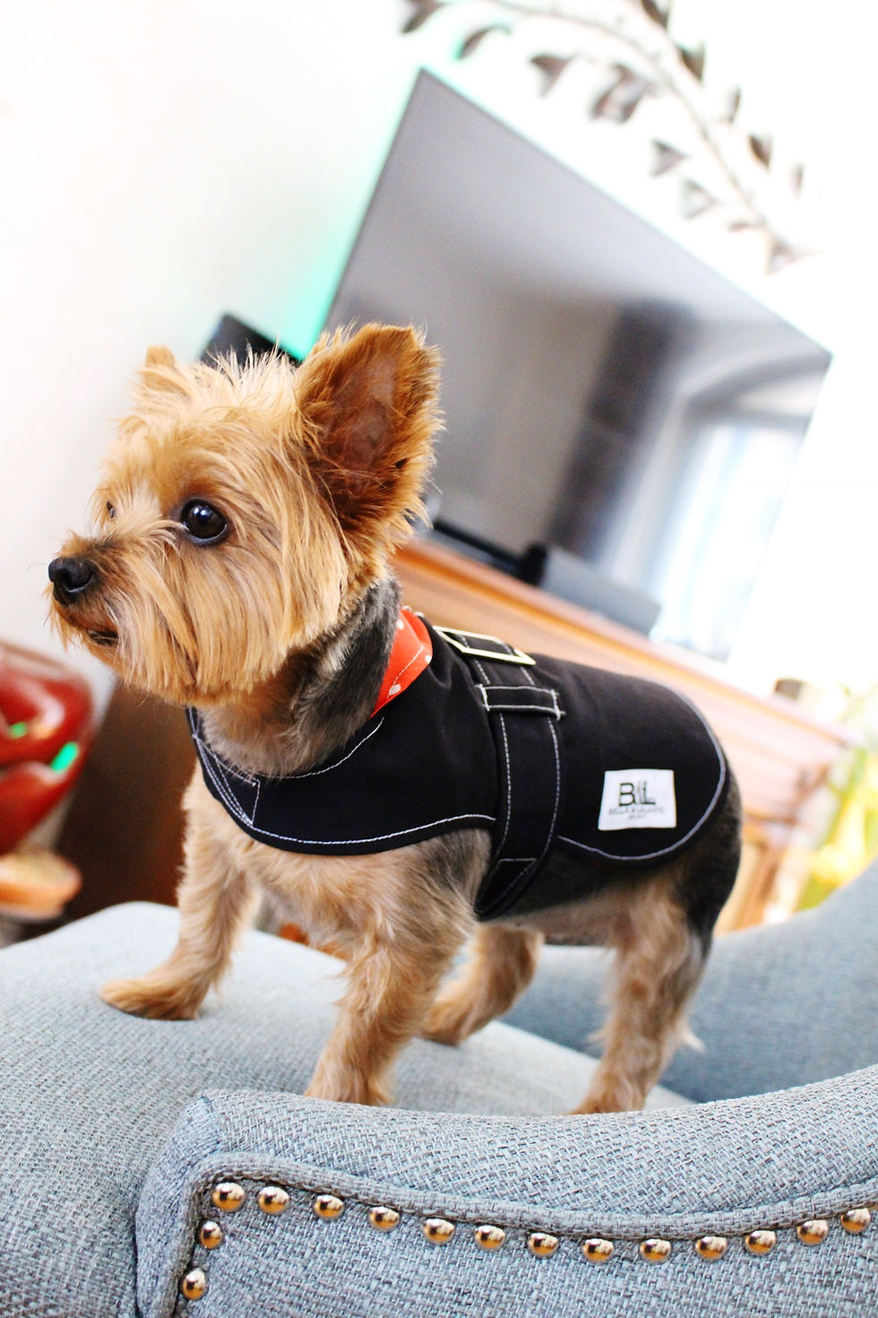 5th Ave. Coat | Black