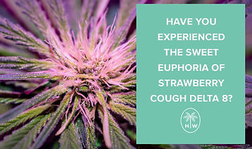strawberry-cough-delta-8.jpg