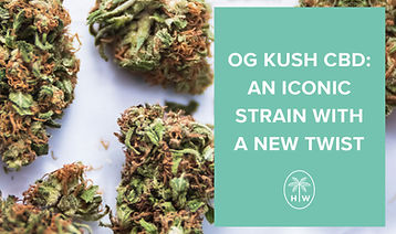 og-kush-CBD.jpg