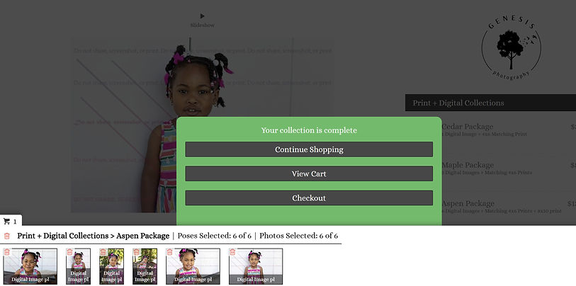 Ordering steps for genesis photography daycare and preschool photos