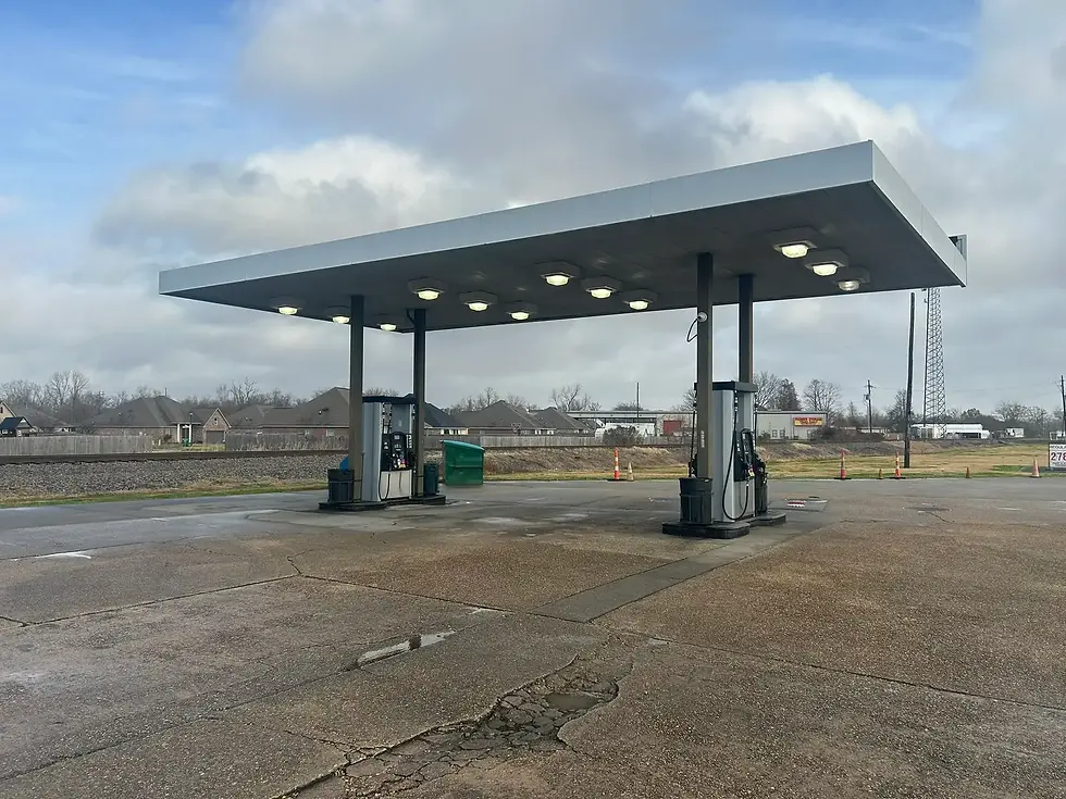 dickies photos 10.webp