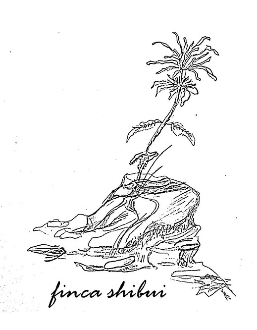 fs logo white.jpg
