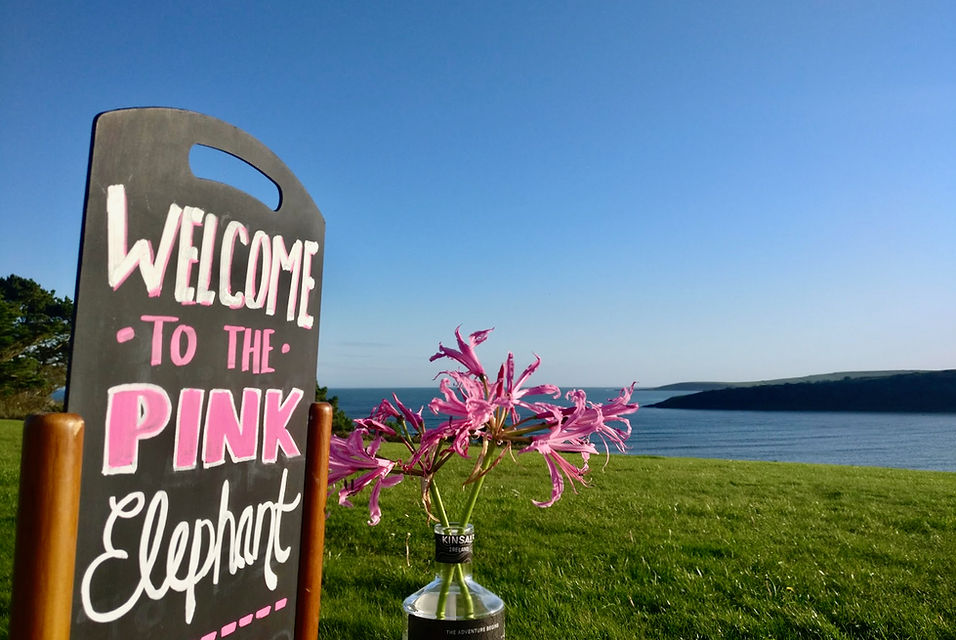 Welcome board at The Pink Elephant