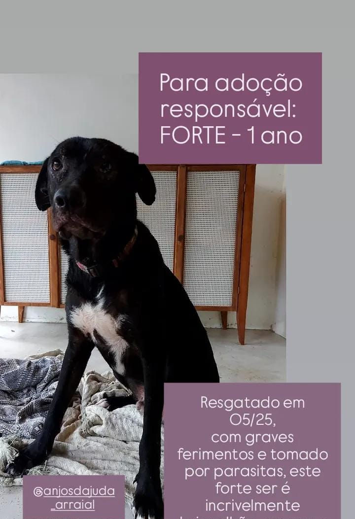 WhatsApp Image 2026-02-28 at 21.00_edited.jpg