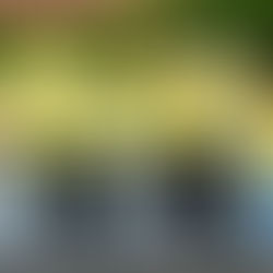 桐蔭横浜大学尾山ゼミが「令和7年度 おもいやりライト運動」を実施しました！