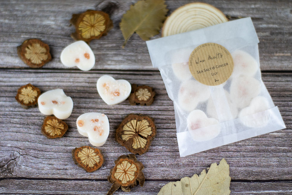 Thumbnail: Sea Salt & Ginger Lily Coconut- Rapeseed Wax Melts
