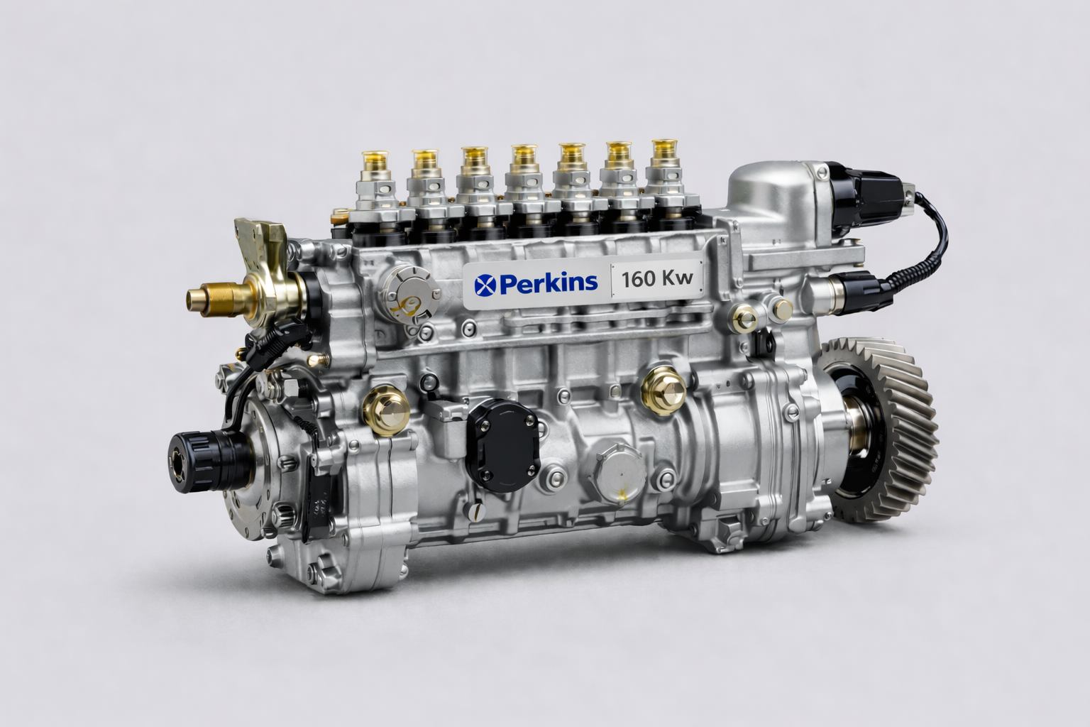 Bomba de Inyección Perkins para Grupo Electrógeno – 160 kW
