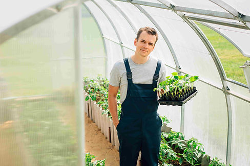 Vertikalbegrünung Deutschland - Gartenbau Freitag.jpeg
