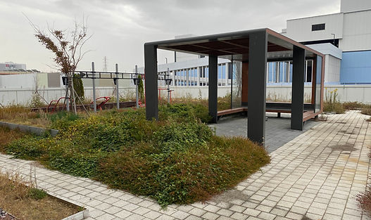 IMG_3172.jpg_ex=6721d54b&is=672083cb&hm=632d68ca00085d95176efc46804a9b55f2575d447565b09a66