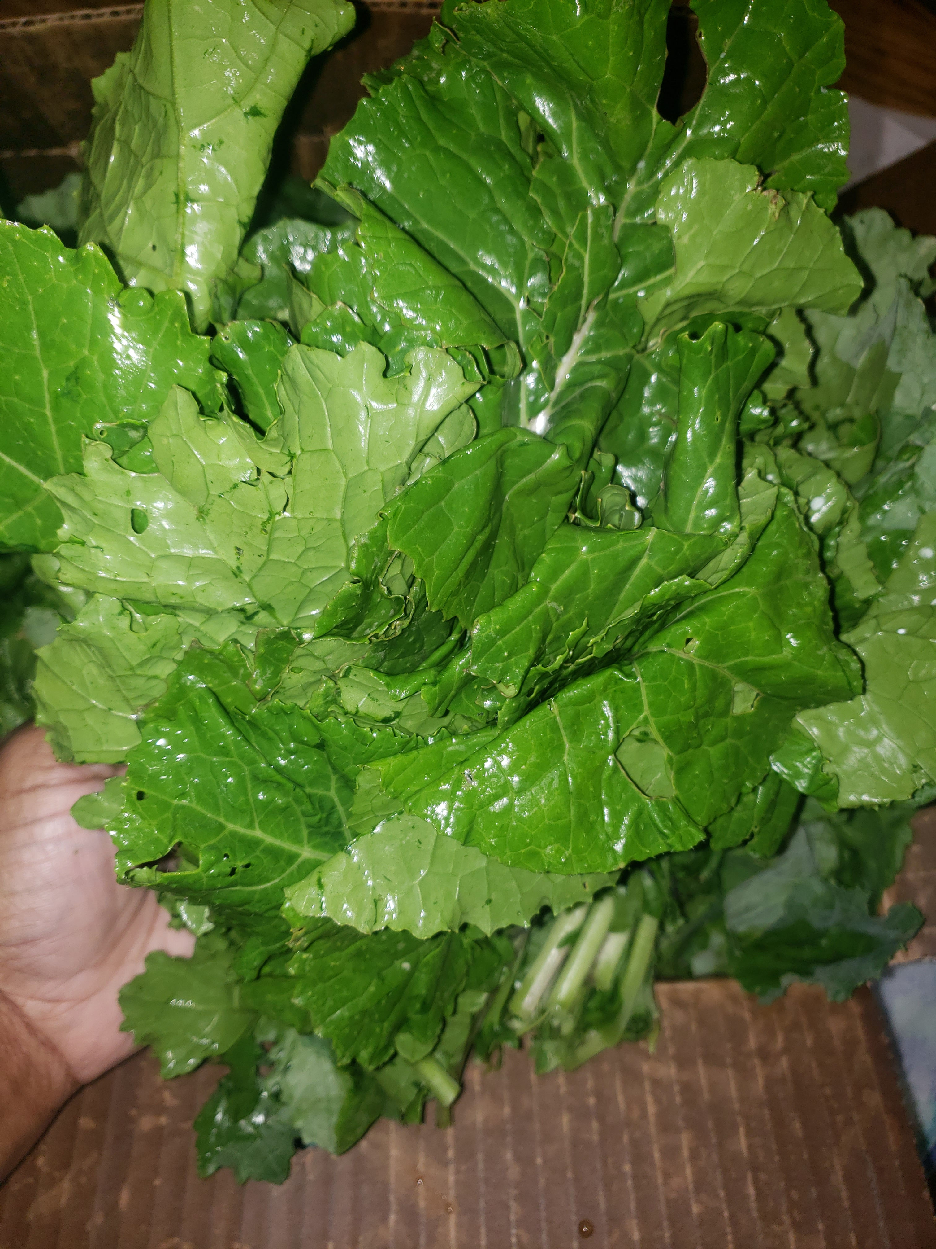 Kale by the pound (A-la cart)