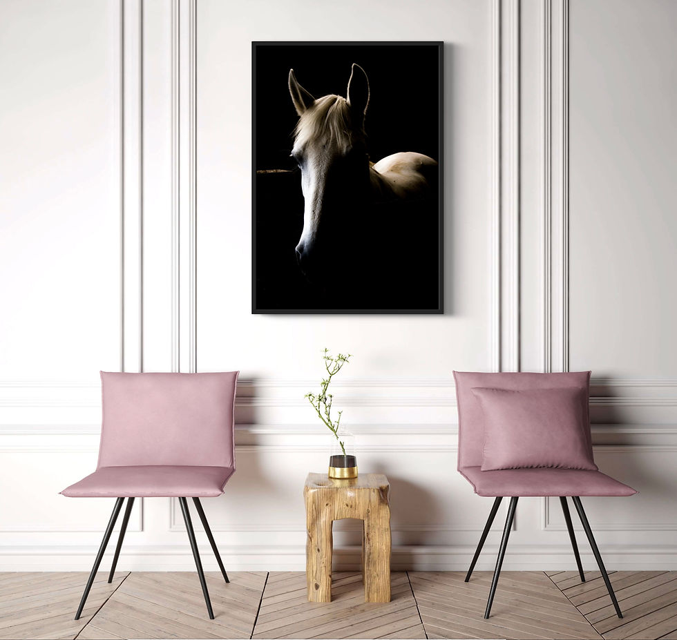 Miniature : WHITE HORSE