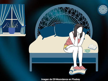7 Razones por la que sufres insomnio