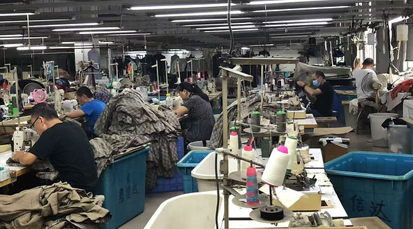 WhatsApp Image 2025-10-08 at 17.22.19 (1).jpeg