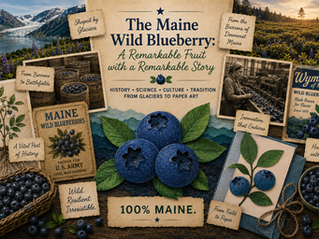 Collage-style cover illustrating the history of the Maine wild blueberry, featuring glaciers, blueberry barrens, Civil War canning, Wyman's, fresh berries, botanical illustrations, and a handcrafted paper art blueberry card.