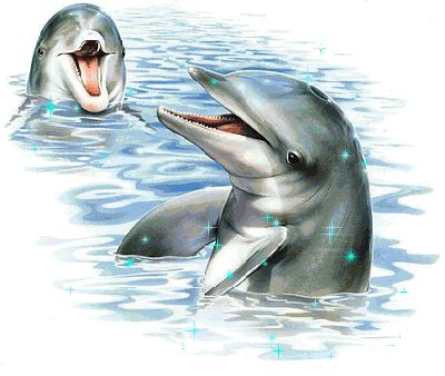 dolphins.gif