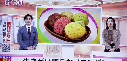 TV2.jpg