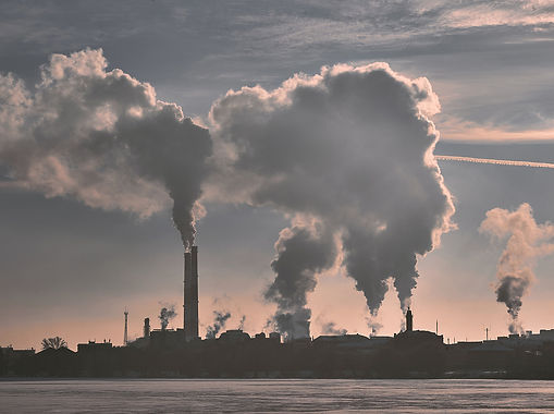 Caretake the Environment from Pollution