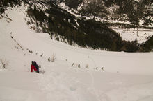 DSC_1779.jpg